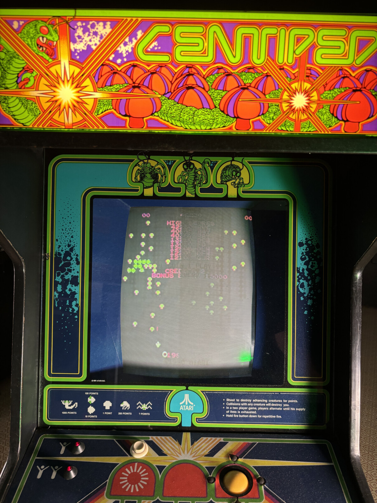 Centipede